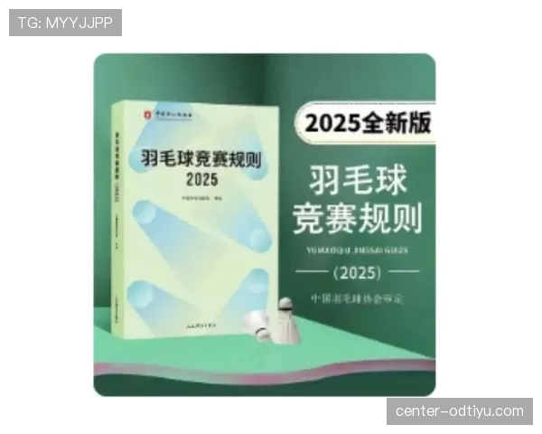 比赛用球的规格与规则标准详解及裁判判罚依据