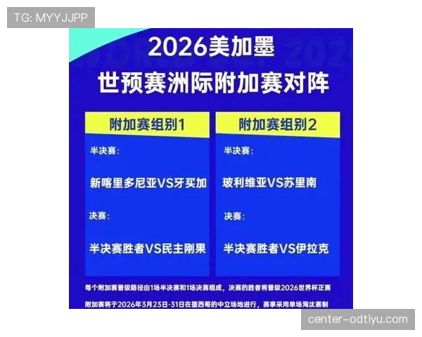民主刚果冲击2026世界杯前景：赛程挑战与出线形势分析